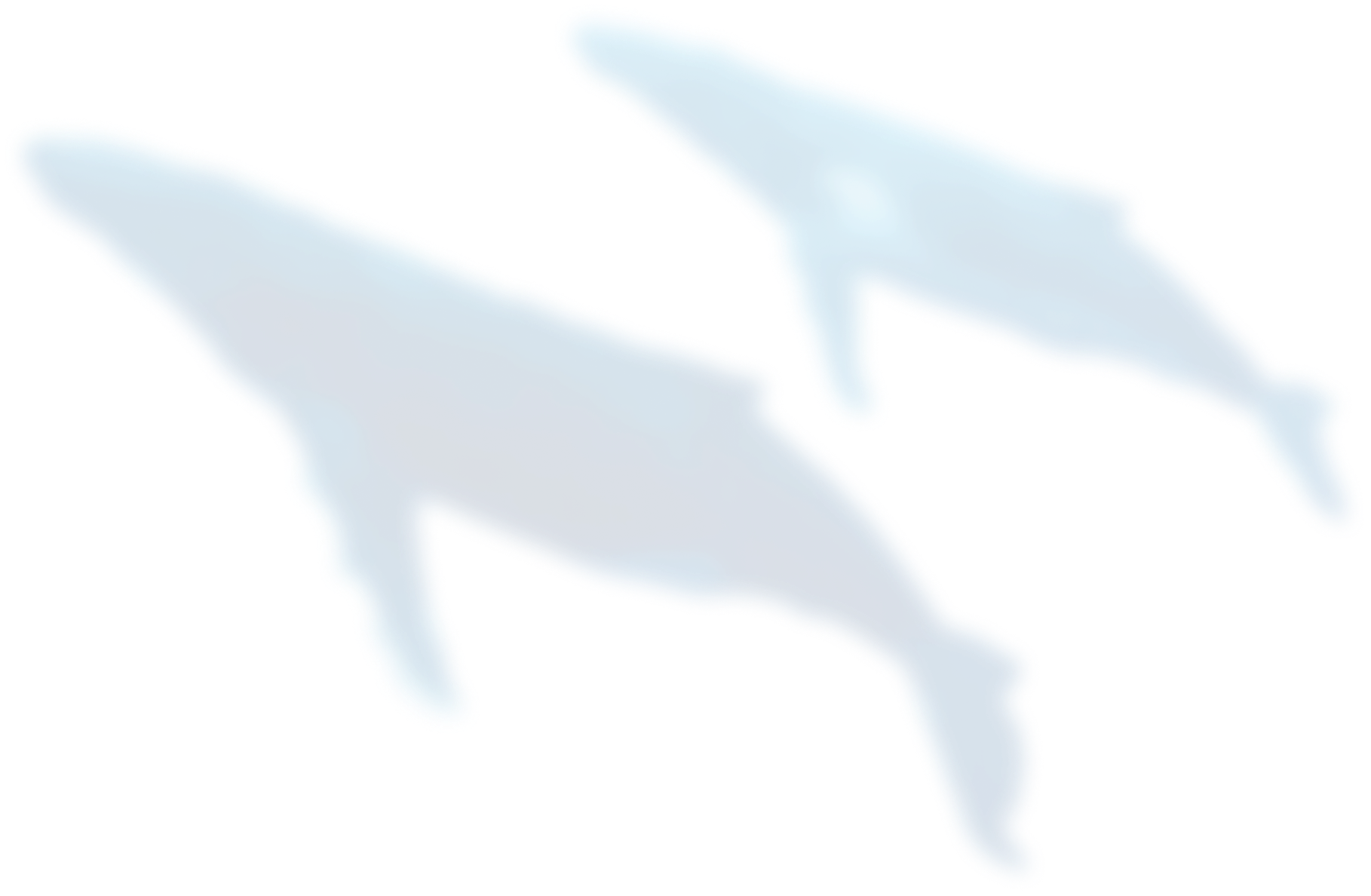 whales